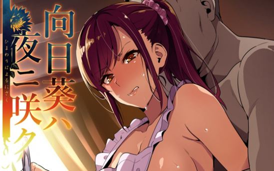 向日葵ハ夜ニ咲ク 全彩PDF资源预览